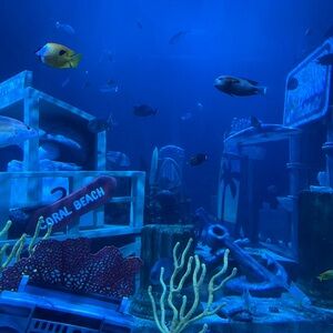 Meet your Posher, Andrea